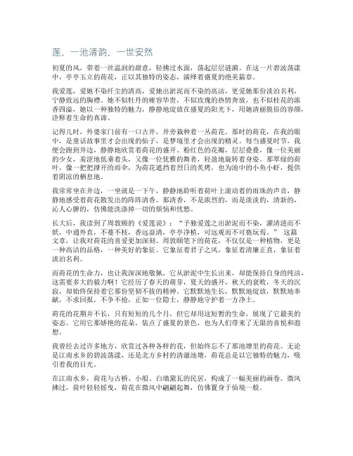 描写荷花的优美散文