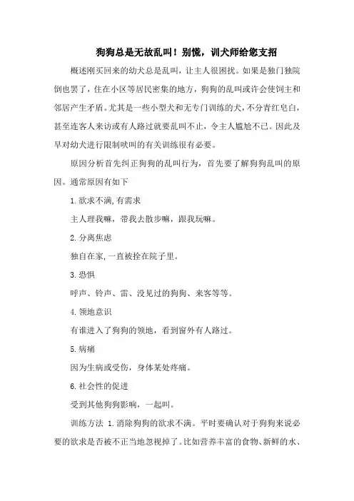 狗狗总是无故乱叫!别慌,训犬师给您支招