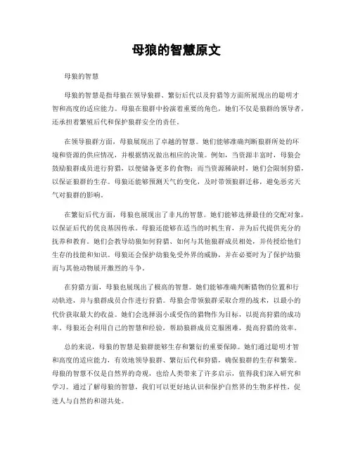 母狼的智慧原文