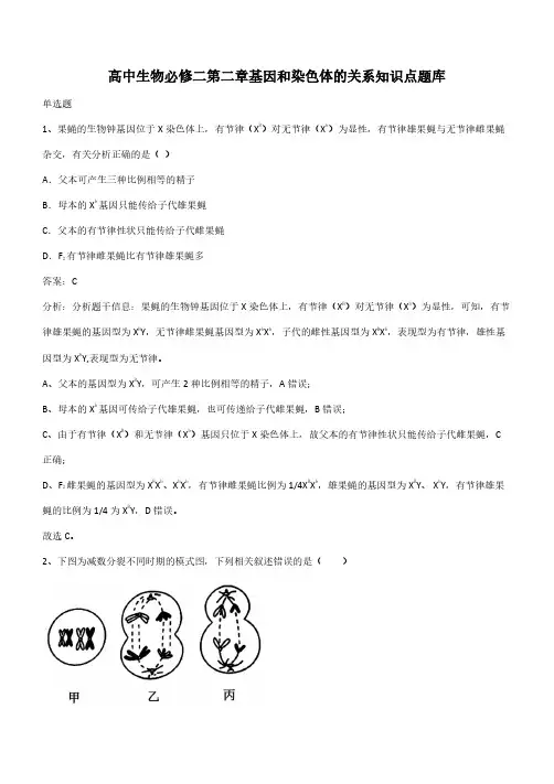 高中生物必修二第二章基因和染色体的关系知识点题库(带答案)