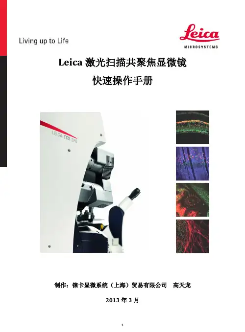 Leica激光扫描共聚焦显微镜快速操作手册