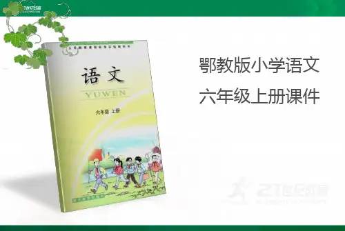 鄂教版小学语文六年级上册第六单元第18课《生态金字塔》(第一课时)课件