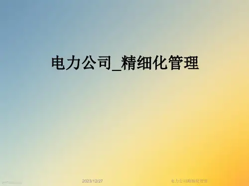 电力公司精细化管理