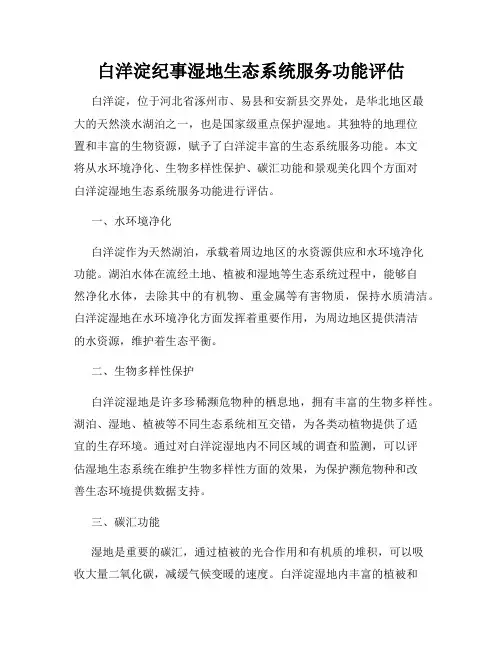 白洋淀纪事湿地生态系统服务功能评估