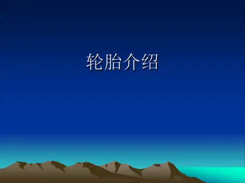 轮胎介绍.ppt