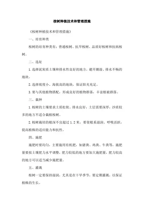 桉树种植技术和管理措施