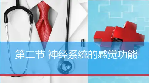 生理学课程教学课件：第九章神经系统第2节神经系统对的感觉功能