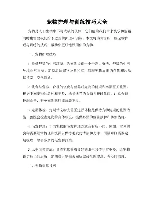 宠物护理与训练技巧大全