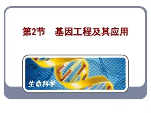 【课件】人教版生物必修二 6.2 基因工程及其应用(共62张PPT)
