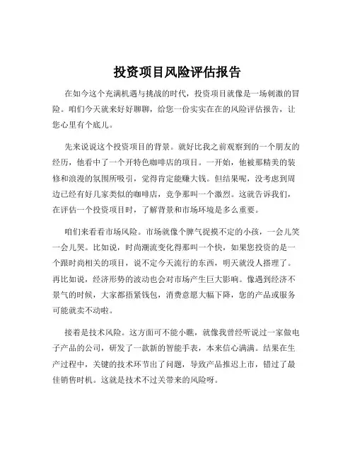 投资项目风险评估报告
