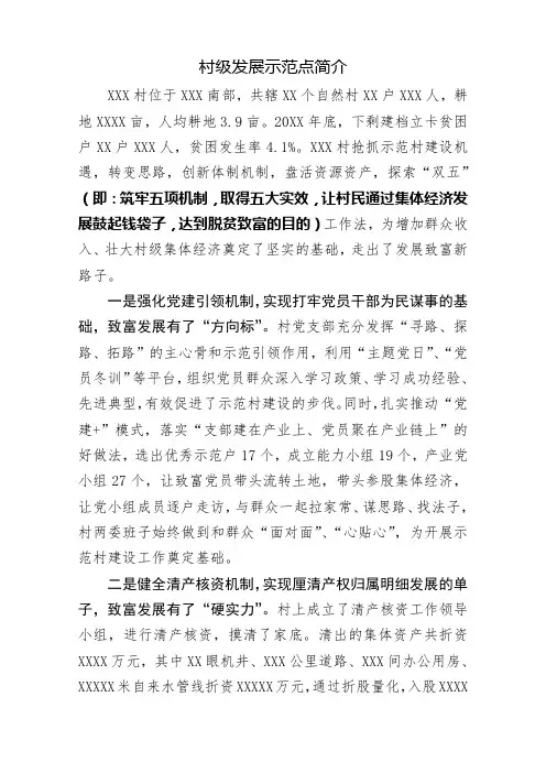 村级发展示范点简介