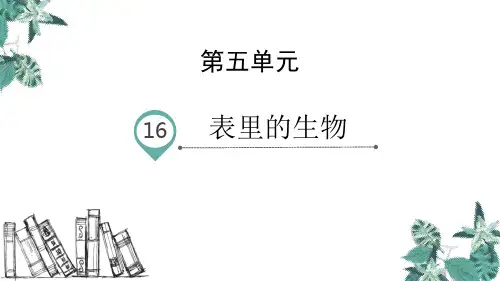 部编版六年级下册语文《表里的生物》说课教学PPT课件