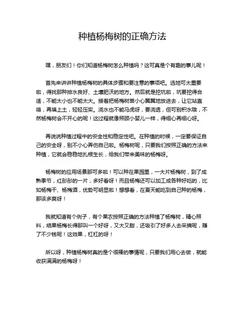 种植杨梅树的正确方法