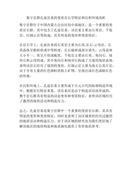 集宁岩群孔兹岩系的变质岩石学特征和沉积环境浅析
