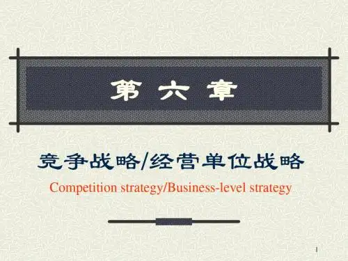 【竞争策略】第六章竞争战略经营单位战略(战略管理-南开大学,杨坤)