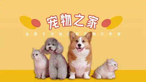 活泼黄色宠物医院宠物诊所介绍PPT