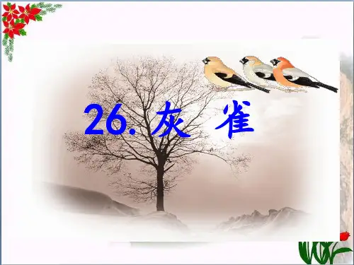 灰雀 人教(部编版) PPT 优秀课件