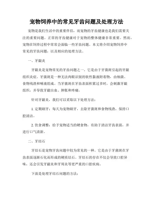 宠物饲养中的常见牙齿问题及处理方法