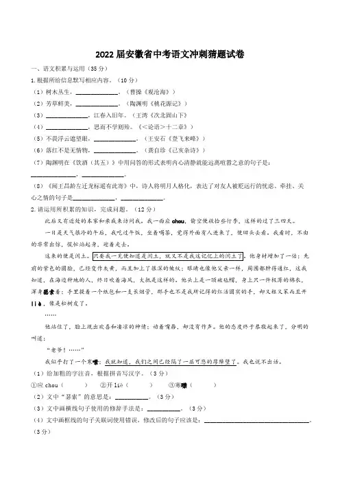 2022届安徽省中考语文冲刺猜题试卷含答案解析