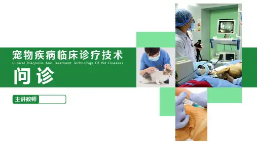 【宠物疾病诊疗技术课件】问诊