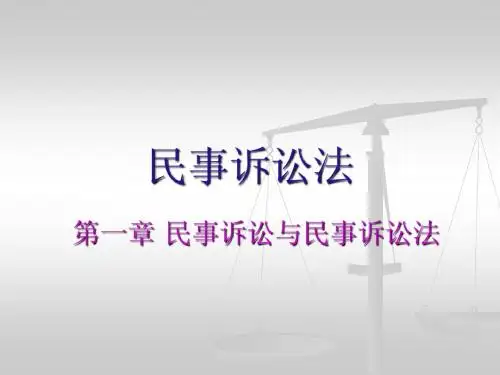 第一章 民事诉讼与民事诉讼法