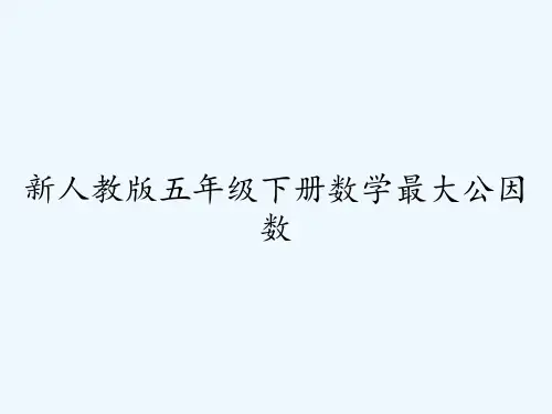 新人教版五年级下册数学最大公因数 PPT
