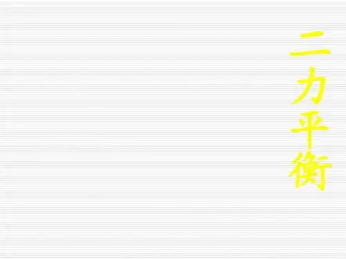 初中物理《二力平衡》(共18张)ppt18