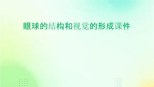 眼球的结构和视觉的形成课件