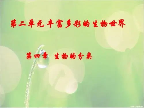 生物：第二单元第四章生物的分类复习课件(济南版)