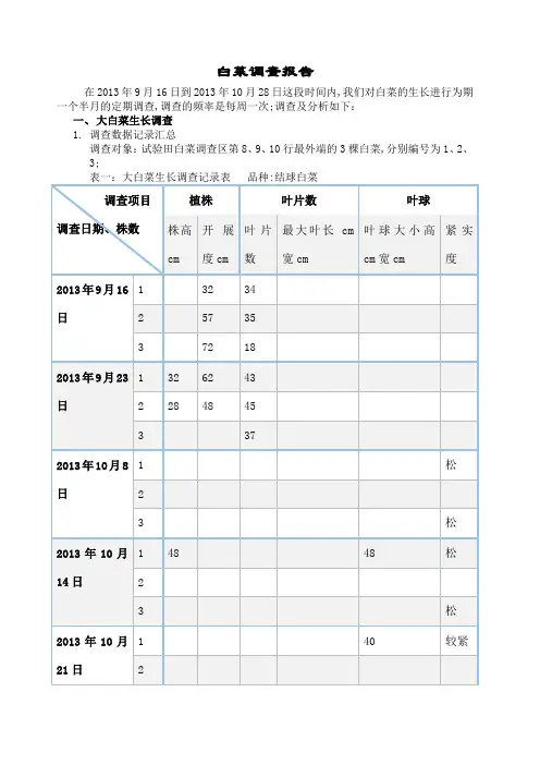 白菜报告田间实验报告