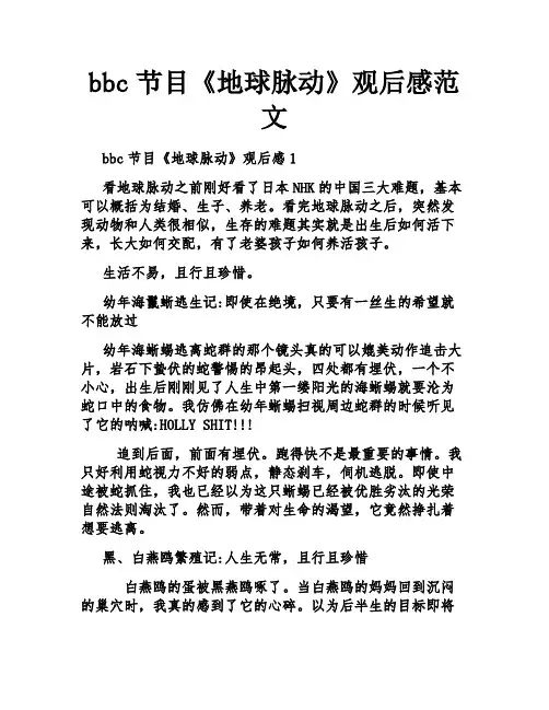 bbc节目《地球脉动》观后感范文