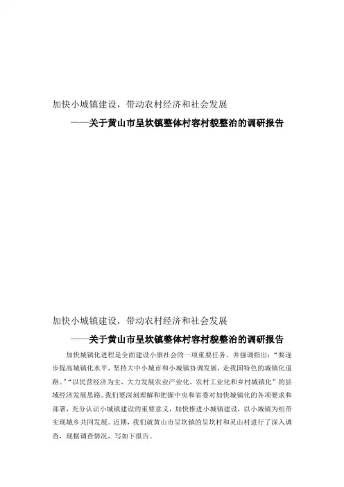 黄山市呈坎镇调研报告