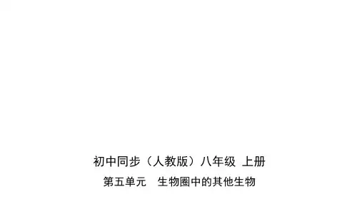 人教版生物八年级上册课件 第六节鸟(53张ppt)