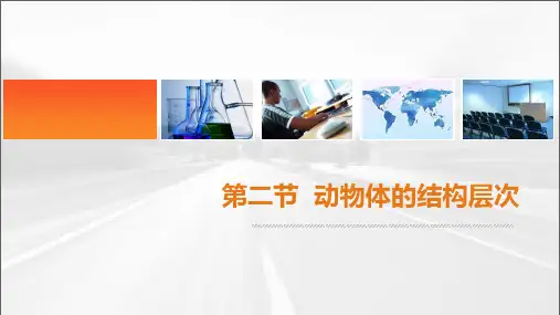 教学课件：动物体的结构层次(优质课)