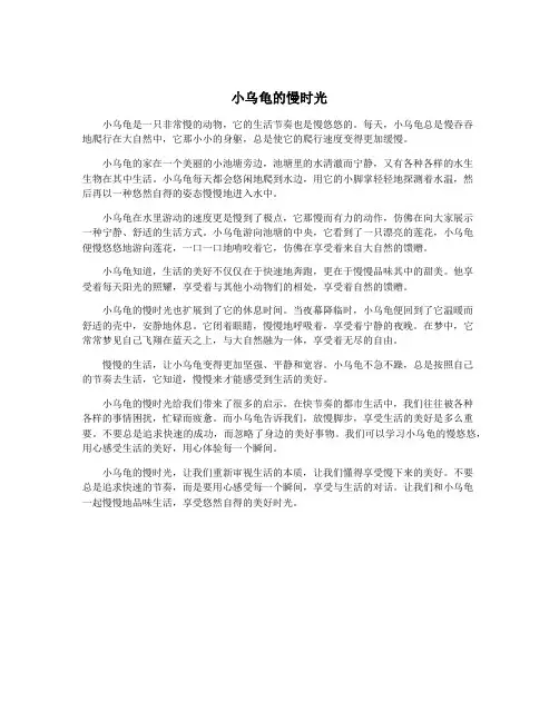 小乌龟的慢时光
