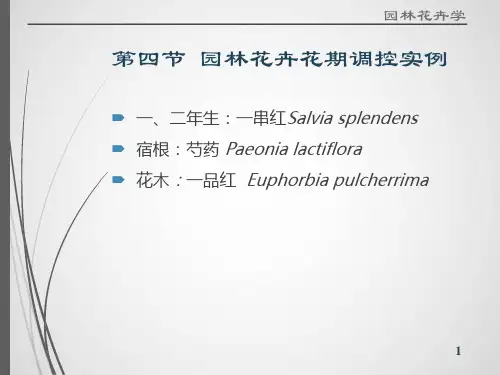 园林花卉的花期控制实例