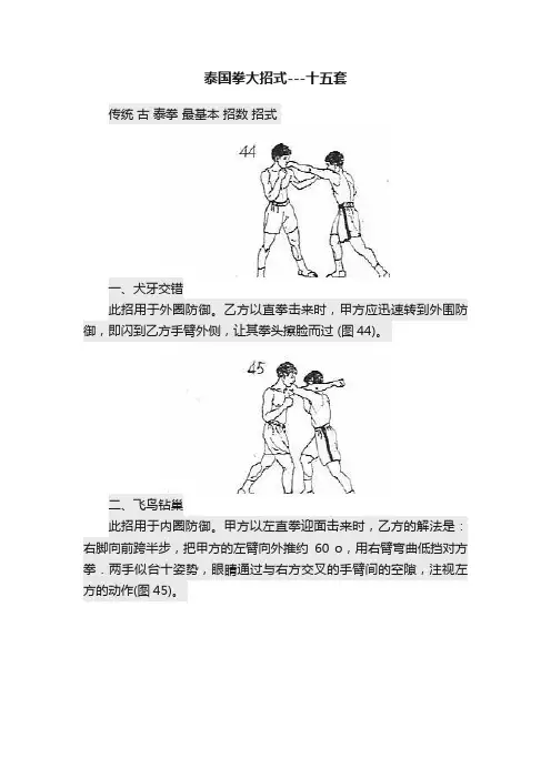 泰国拳大招式---十五套
