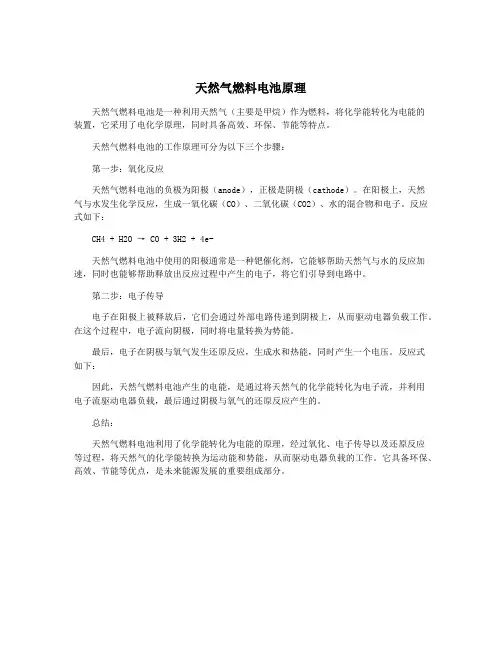 天然气燃料电池原理