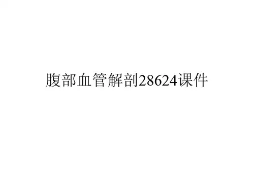 腹部血管解剖28624课件