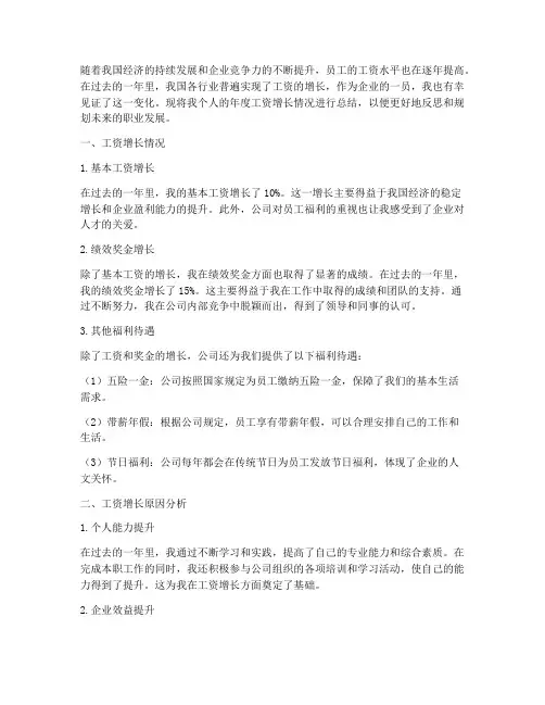 年度工资增长总结