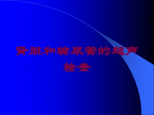 肾脏和输尿管的超声检查培训课件