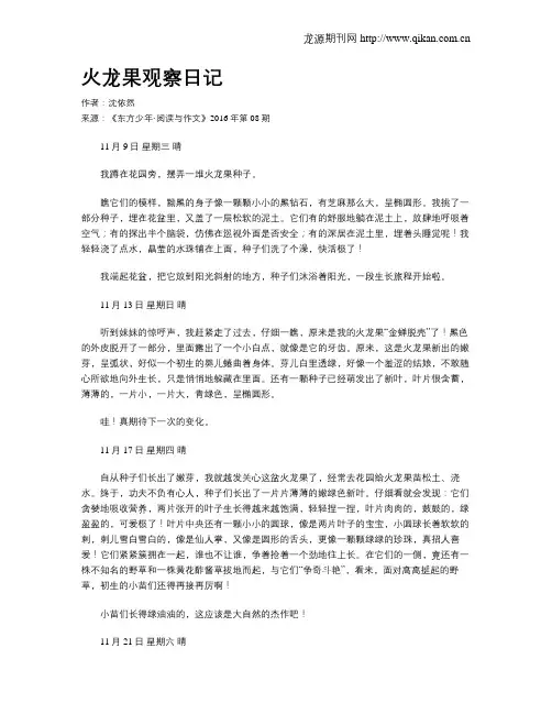火龙果观察日记