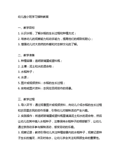 幼儿园小班学习插秧教案 幼儿园学习活动
