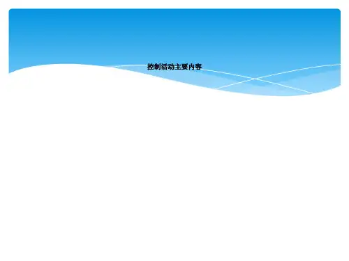 控制活动主要内容
