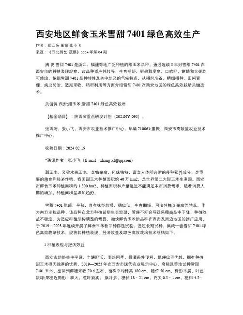西安地区鲜食玉米雪甜7401绿色高效生产