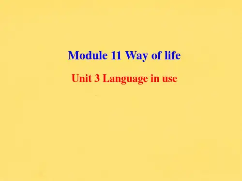 外研版八年级英语上册Module11课件