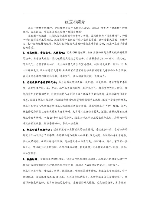 红豆杉