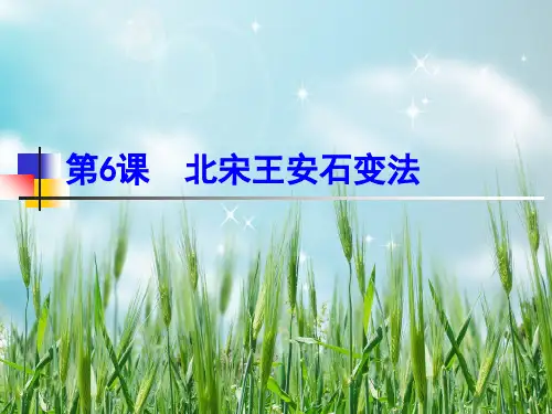 北宋王安石变法PPT