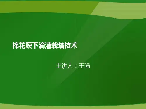 棉花膜下滴灌栽培技术 