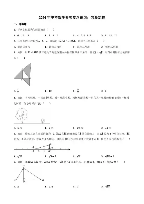 2024年中考数学专项复习练习：勾股定理及参考答案